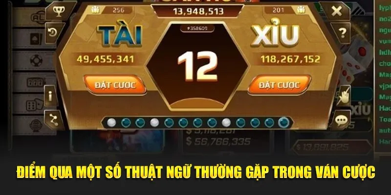 Điểm qua một số thuật ngữ thường gặp trong ván cược