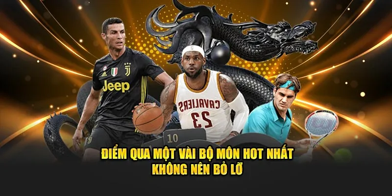 Điểm qua một vài bộ môn hot nhất không nên bỏ lỡ