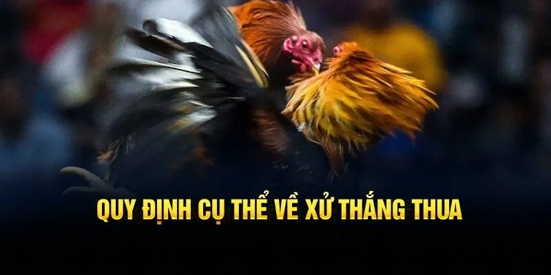 Quy định cụ thể về xử thắng thua